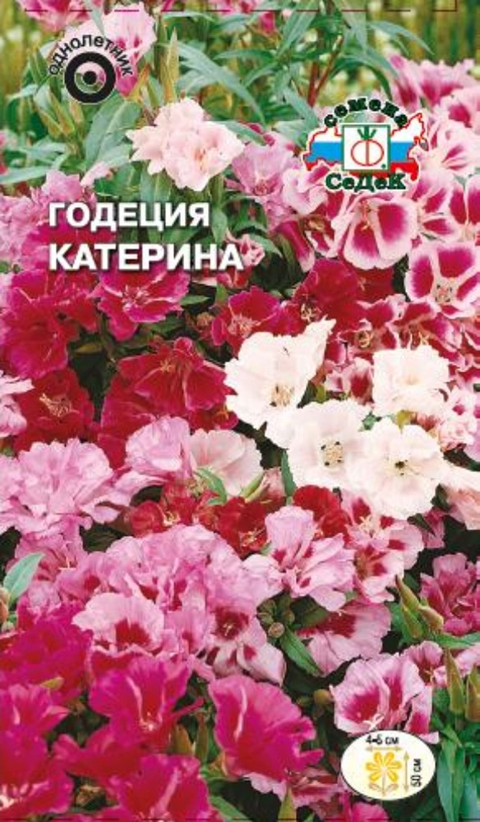 Изображение товара Семена Годеции СеДеК Катерина смесь 3 г