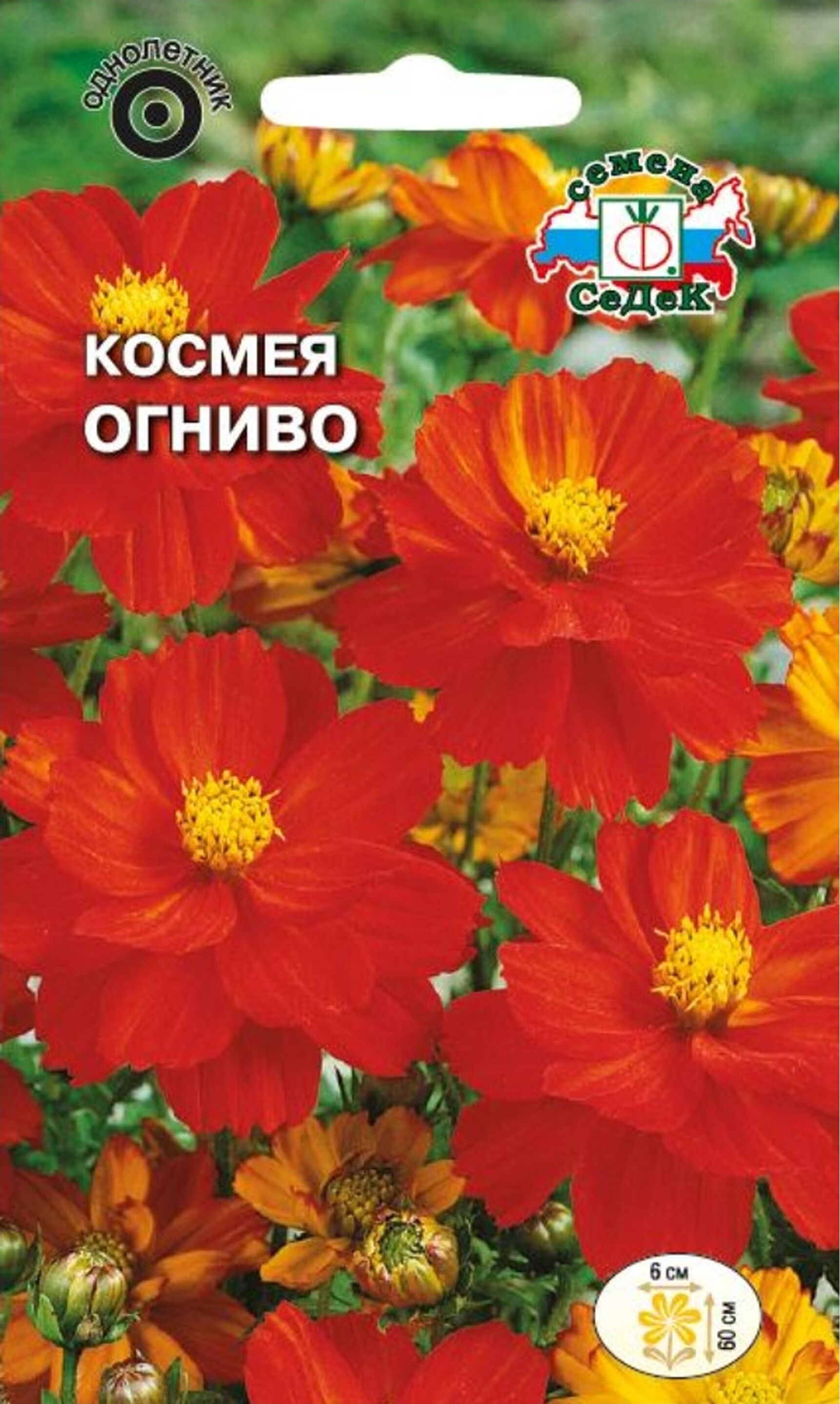 Изображение товара Семена Космеи СеДеК Огниво 3 г - яркие однолетние цветы для клумб и бордюров
