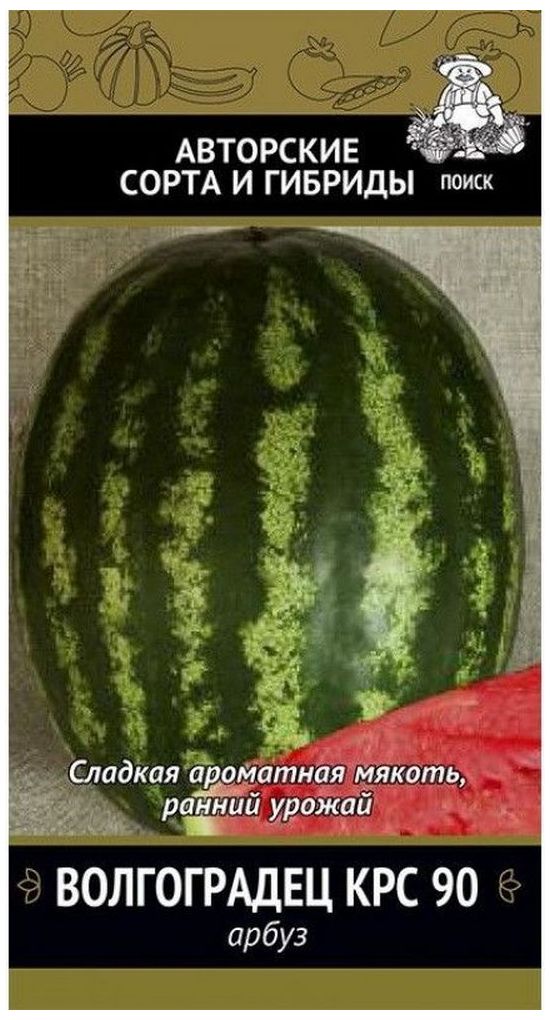 Семена арбузов найти. Семена арбузов найти. Астраханский сорт арбуза холодок. Астраханский сорт арбуза. Семена арбузов найти.