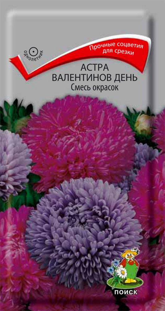 Изображение товара Астра Валентинов день Смесь окрасок семена цветов для садов и горшков