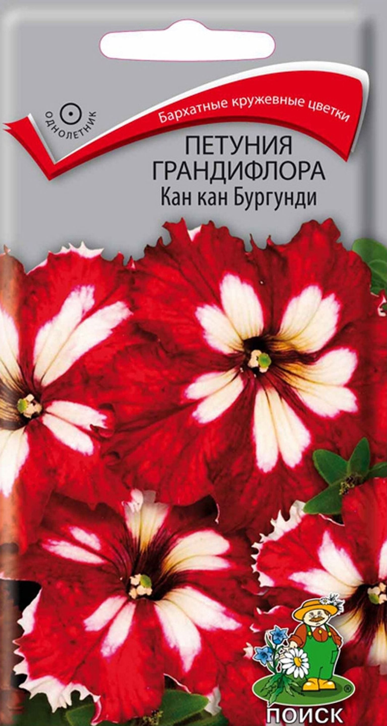 Изображение товара Семена Петунии крупноцветковой ПОИСК Кан Кан бургунди 10 шт