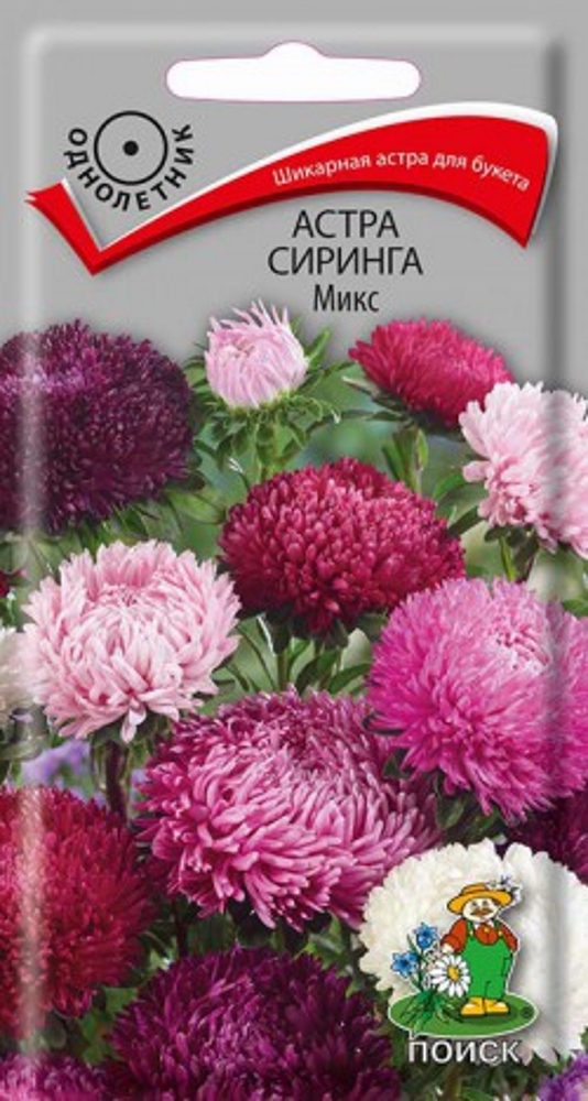 Изображение товара Семена Астра Сиринга в ассортименте для выращивания и срезки цветов