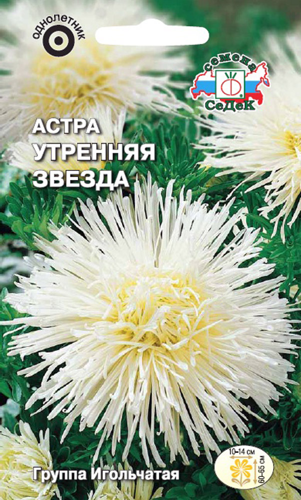 Изображение товара Семена Астра Утренняя Звезда СеДеК 0,2 гр