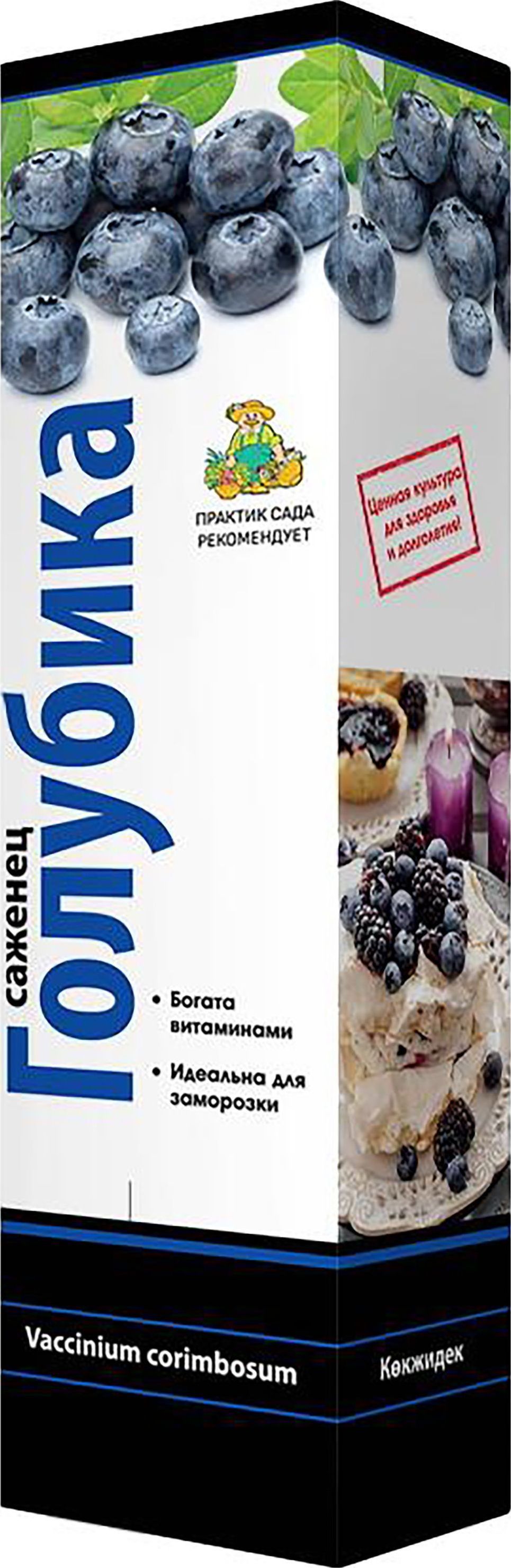 Изображение товара Саженец голубики высокорослой Блюкроп С1 Н37 для дачи и сада