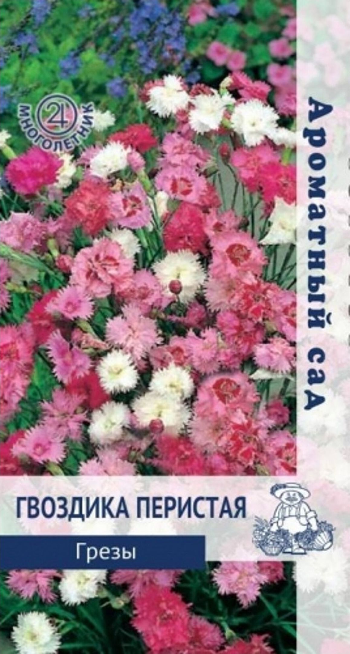 Изображение товара Семена Гвоздики ПОИСК Ароматный сад Перистая Грезы 0,1 г