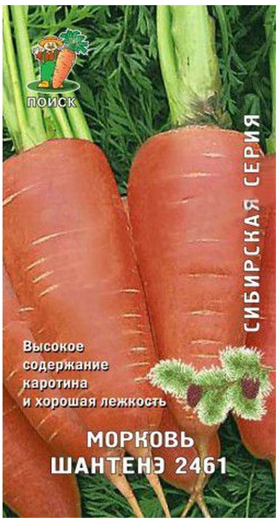 Изображение товара Семена Моркови Шантенэ 2461 2 г
