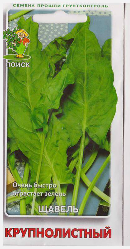Изображение товара Семена Щавель крупнолистный Поиск 1 гр