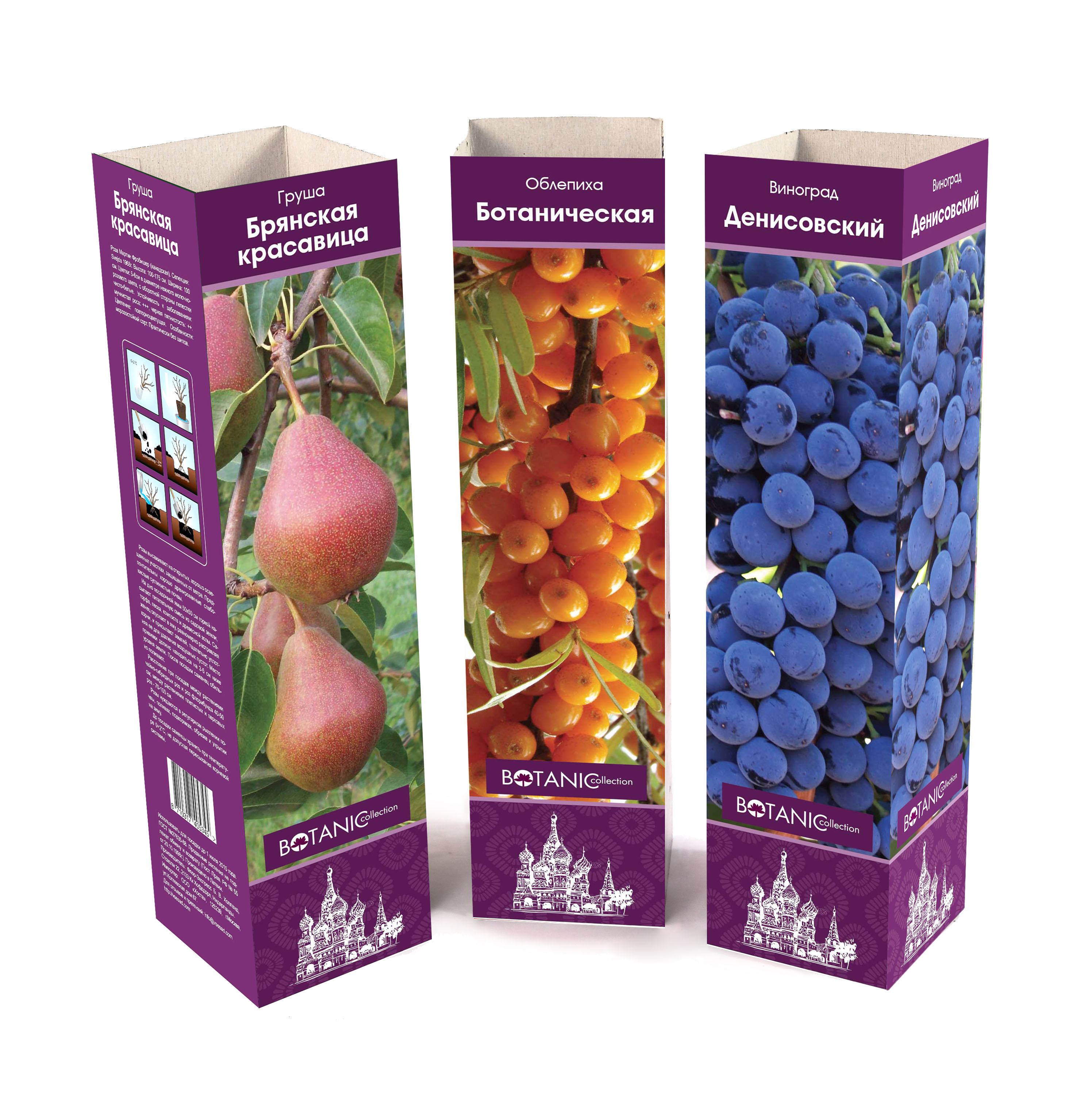 Изображение товара Растение плодовые ягоды 7 ЦВЕТОВ Ботаник Коллекшн в коробке ассортимент