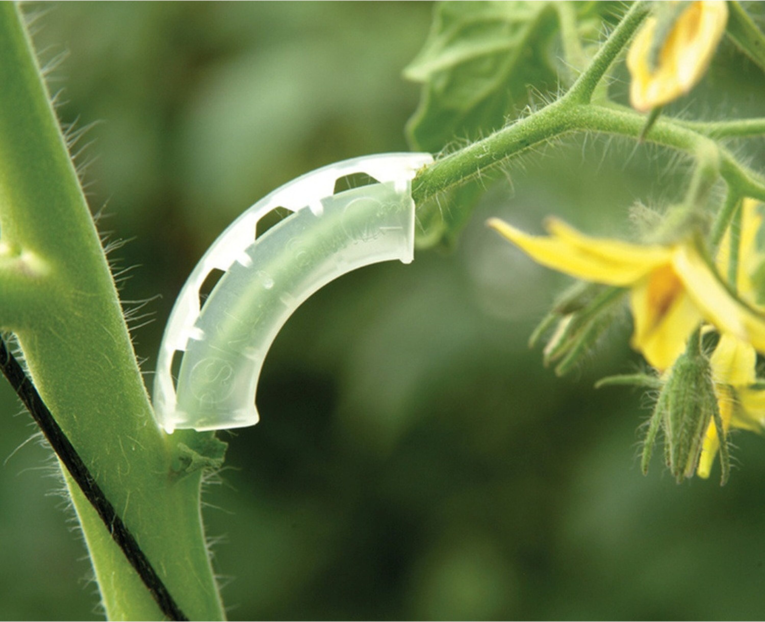 Изображение товара Кистедержатель круглый из полипропилена 4x10x20 см прозрачный набор 50 шт