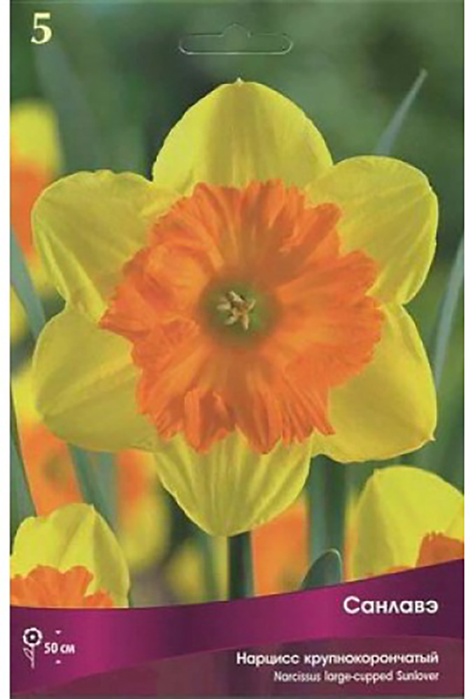 Изображение товара Луковицы Нарцисса ПОИСК Санлавэ 3 x 1 шт
