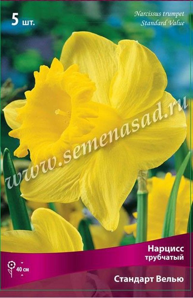 Изображение товара Луковицы Нарцисса ПОИСК Стандарт велью 3 x 1 шт