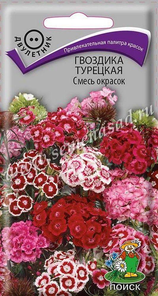 Изображение товара Семена Гвоздики турецкой ПОИСК Смесь окрасок 0,25 г