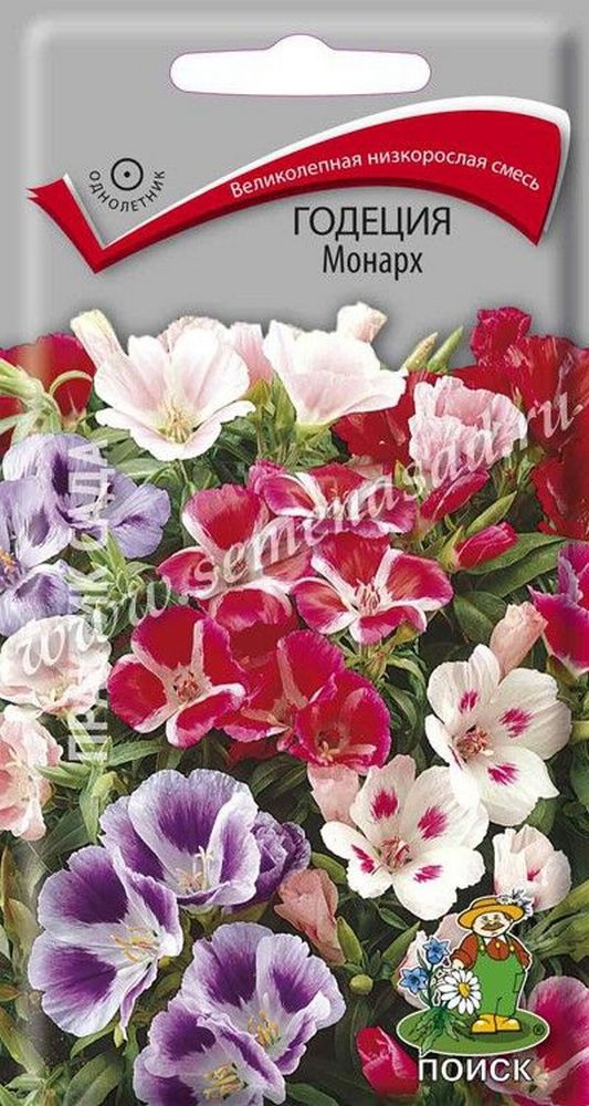 Изображение товара Семена Годеции ПОИСК Монарх 0,3 г