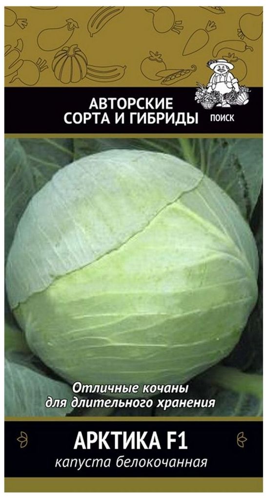 Изображение товара Семена Капусты ПОИСК Авторские сорта и гибриды Арктика F1 0,2 г