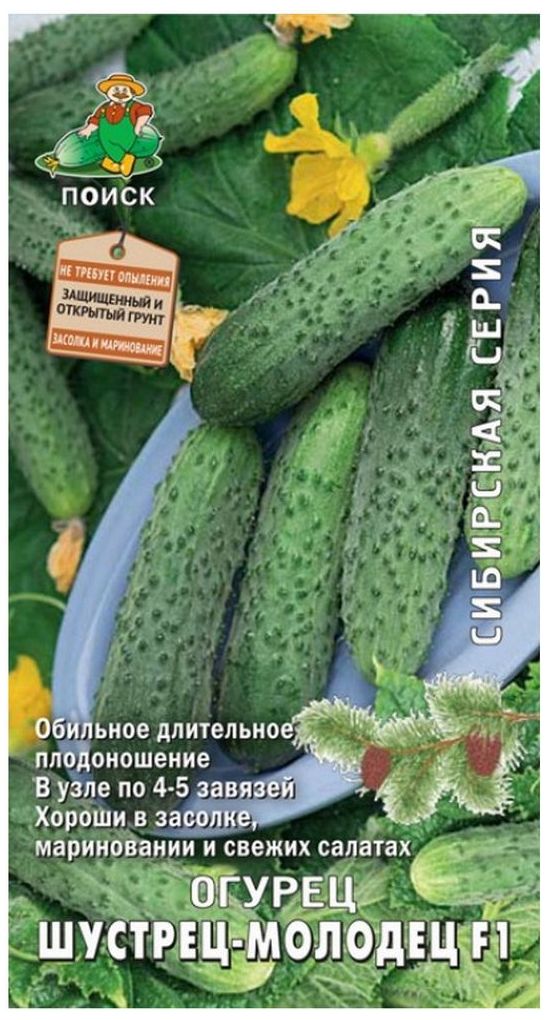 Изображение товара Семена Огурца ПОИСК Шустрец-молодец F1 0,1 г