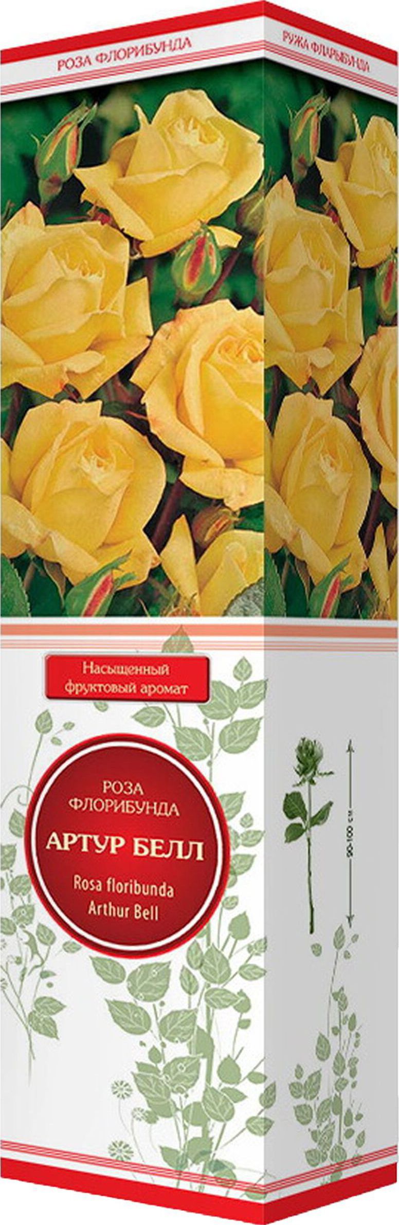 Изображение товара Саженец Роза Артур Белл С1 Н37