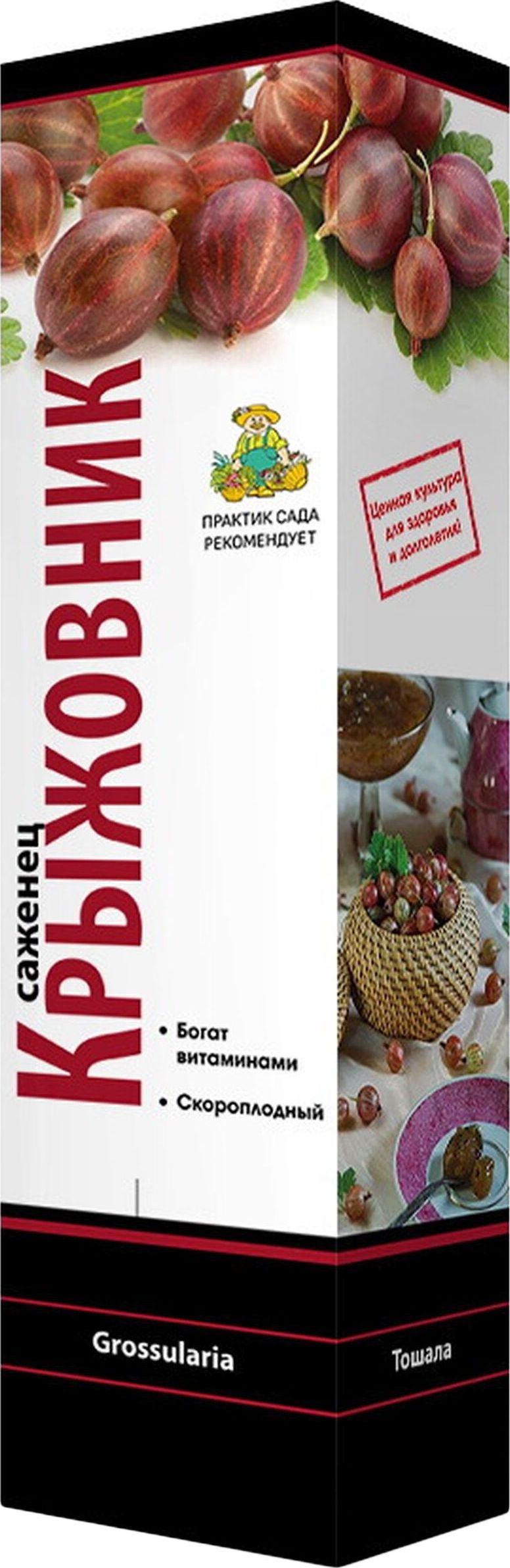 Изображение товара Крыжовник Берилл D16, 5 H7, 5 - сорт с декоративными плодами и высокой устойчивостью