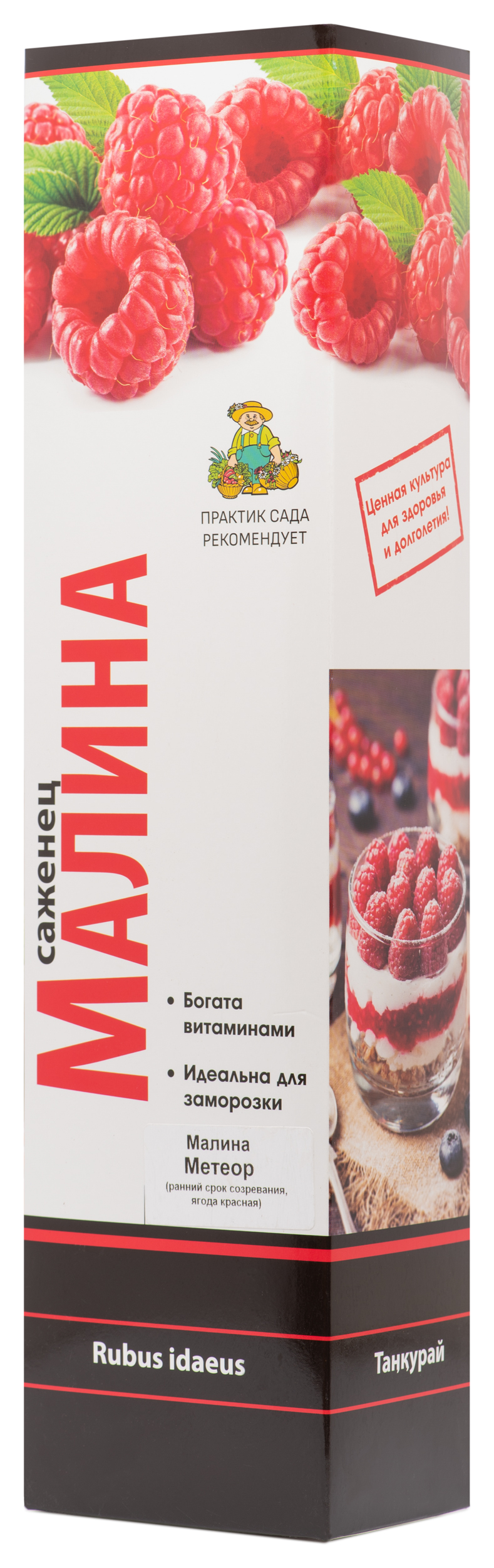 Изображение товара Саженец малины Метеор С1 Н37 раннеспелый урожайный кустовой сорт