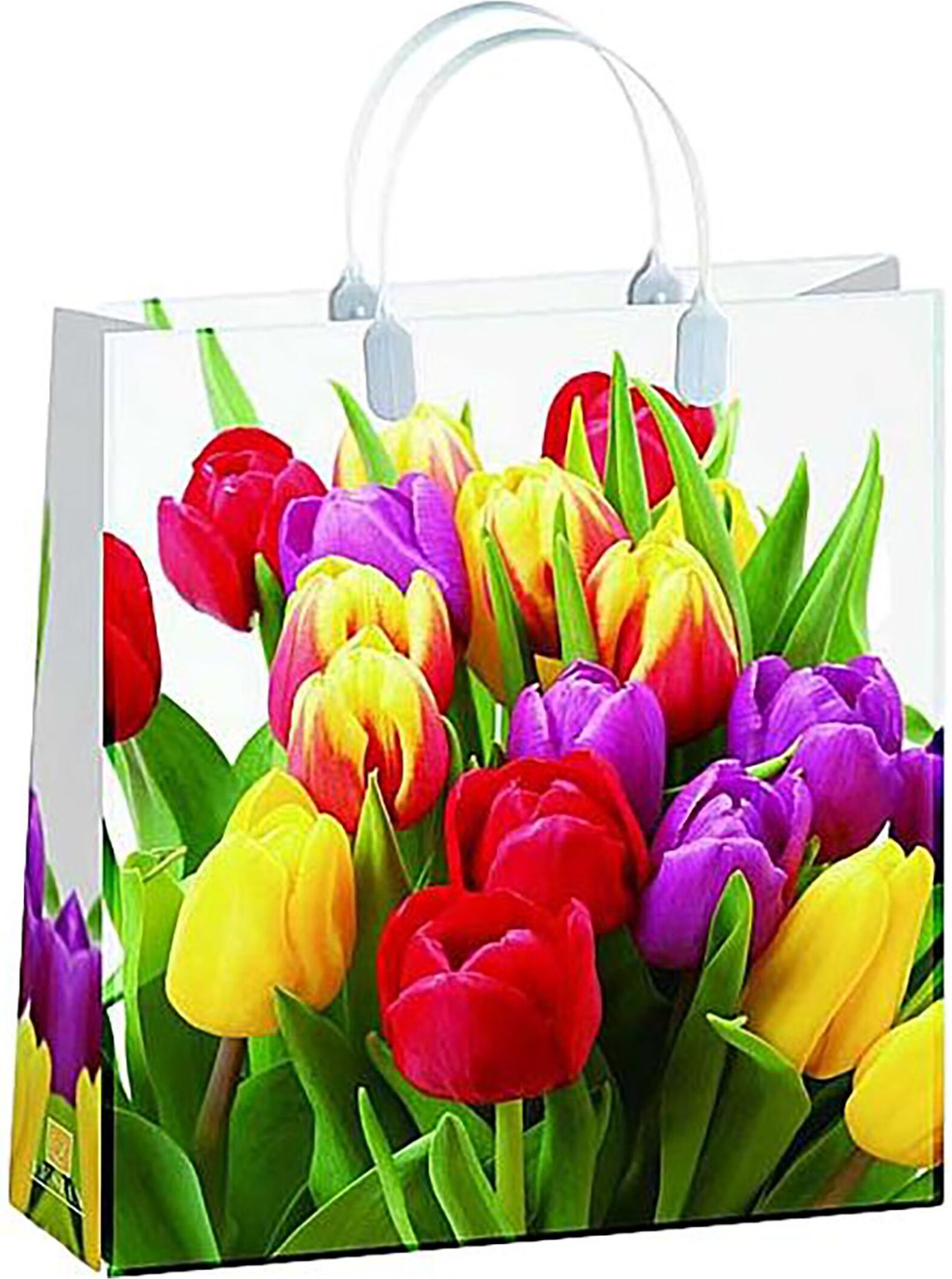 Изображение товара Пластиковая сумка XL Арт и Дизайн 420х320 мм с ручками многоцветная