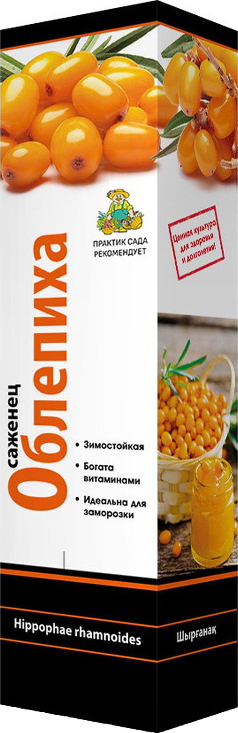 Изображение товара Саженец Облепиха Джемовая С1 Н37