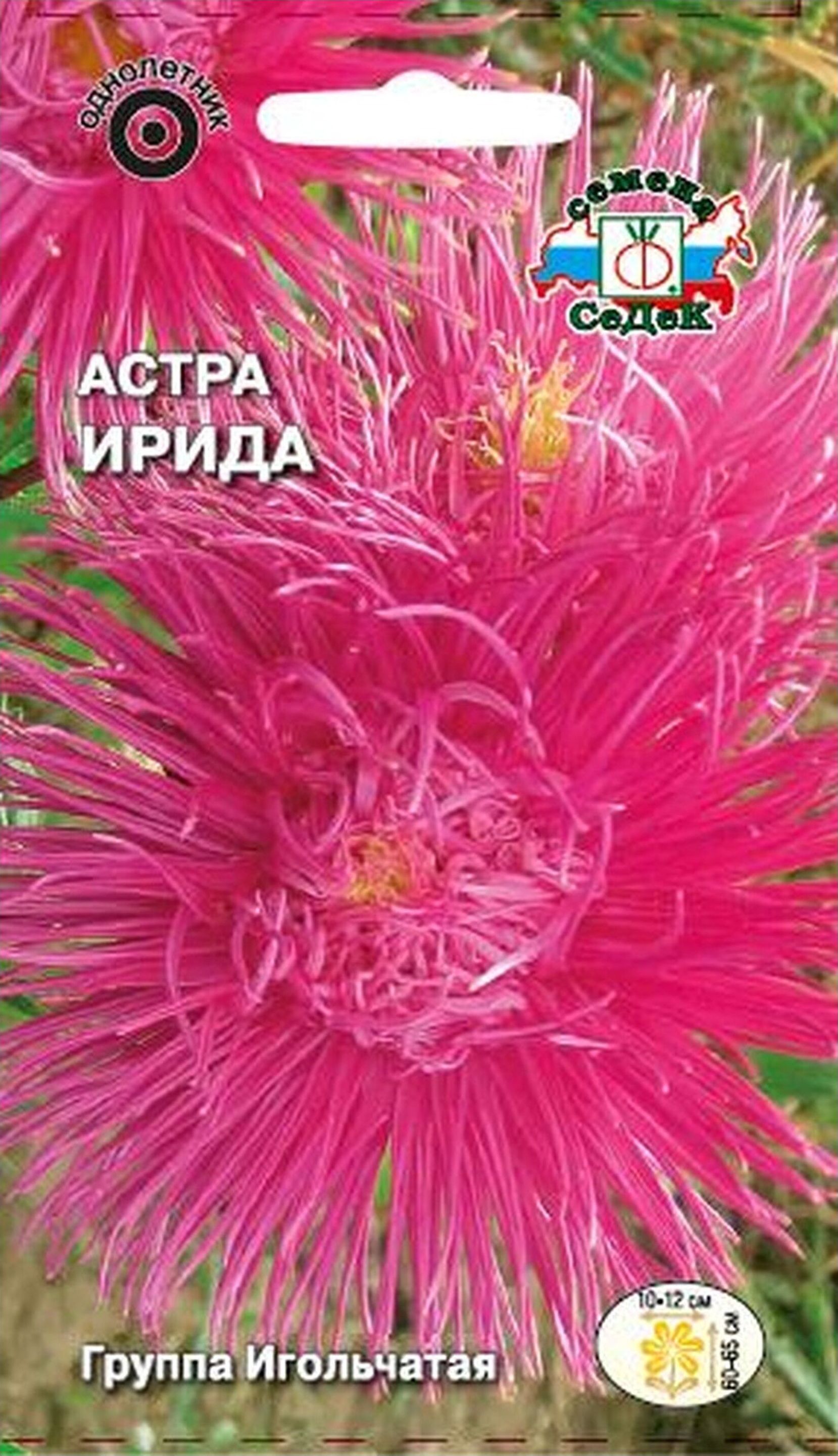 Изображение товара Семена Астры СеДеК Ирида розовая 0,2 г