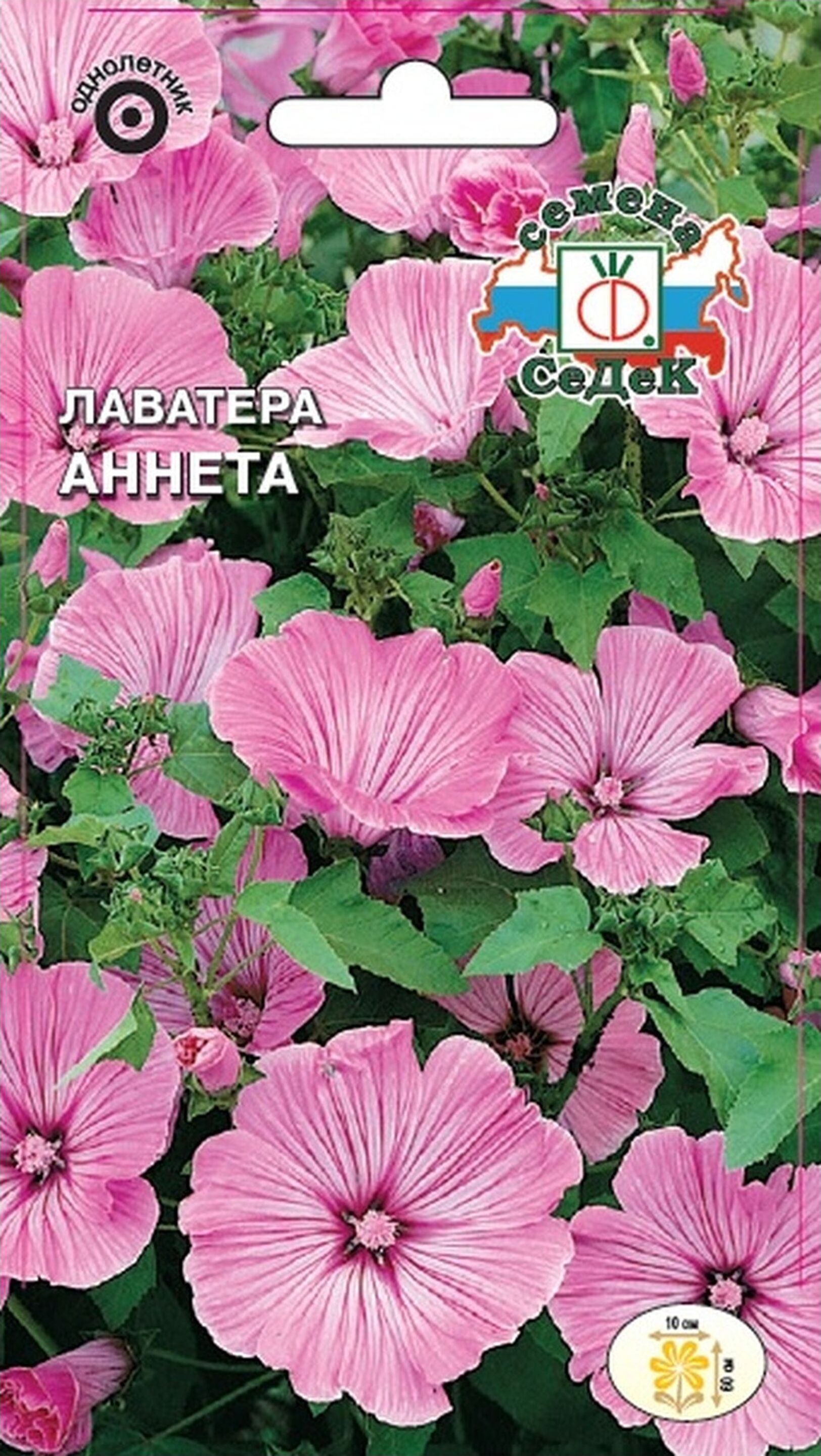 Изображение товара Семена Лаватеры СеДеК Аннета трехмесячная 0,5 г