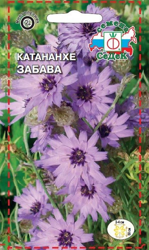 Изображение товара Семена Катананхи СеДеК Забава 1 г