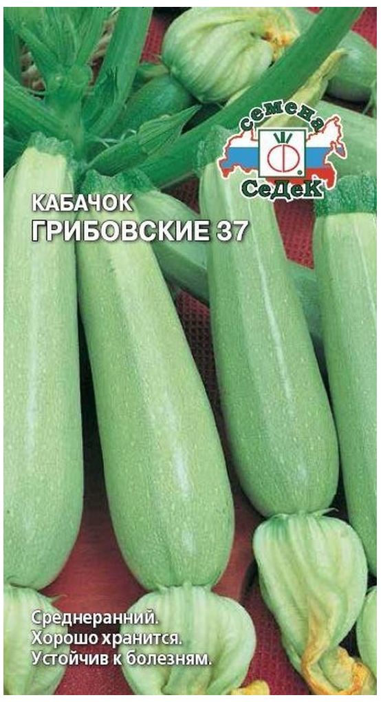 Изображение товара Семена Кабачка СеДеК Грибовские 37 2 г