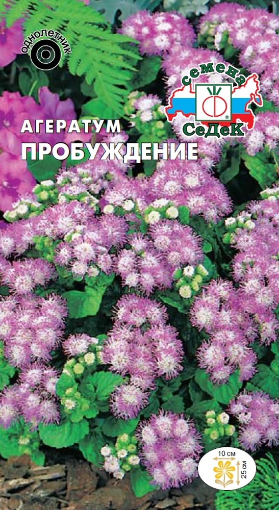 Изображение товара Семена Агератум СеДеК Пробуждение сиренево-белый