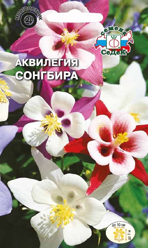 Изображение товара Семена Аквилегии СеДеК Сонгбира 1 г