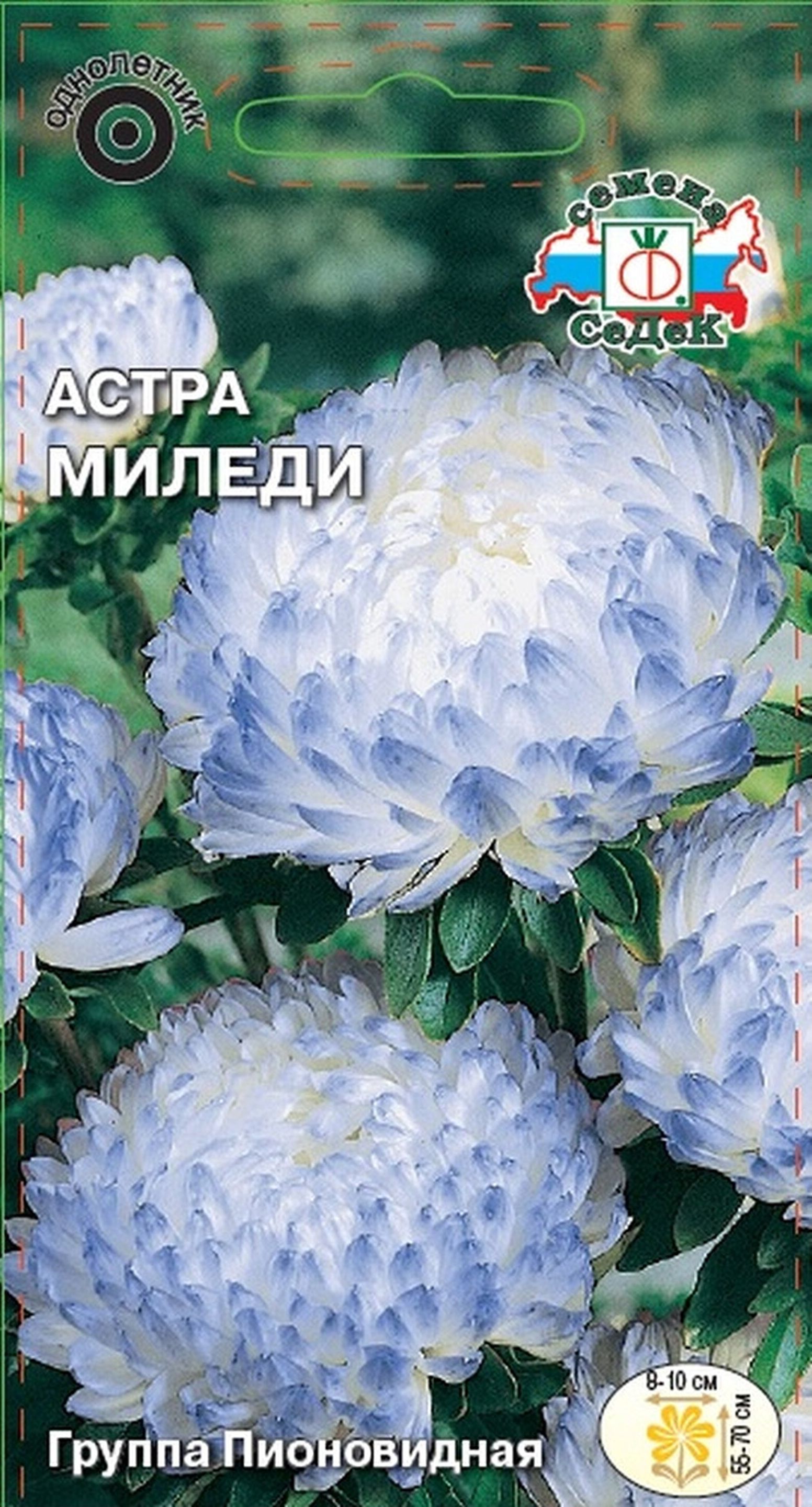 Астра 