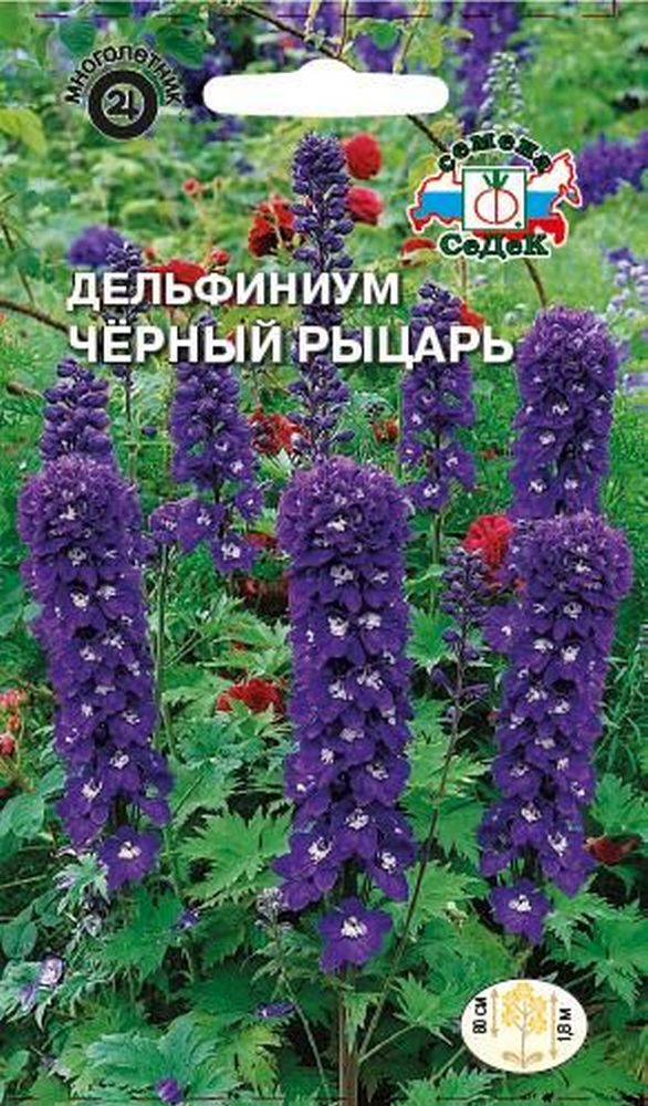 Изображение товара Семена Дельфиниума СеДеК Черный рыцарь 0,1 г