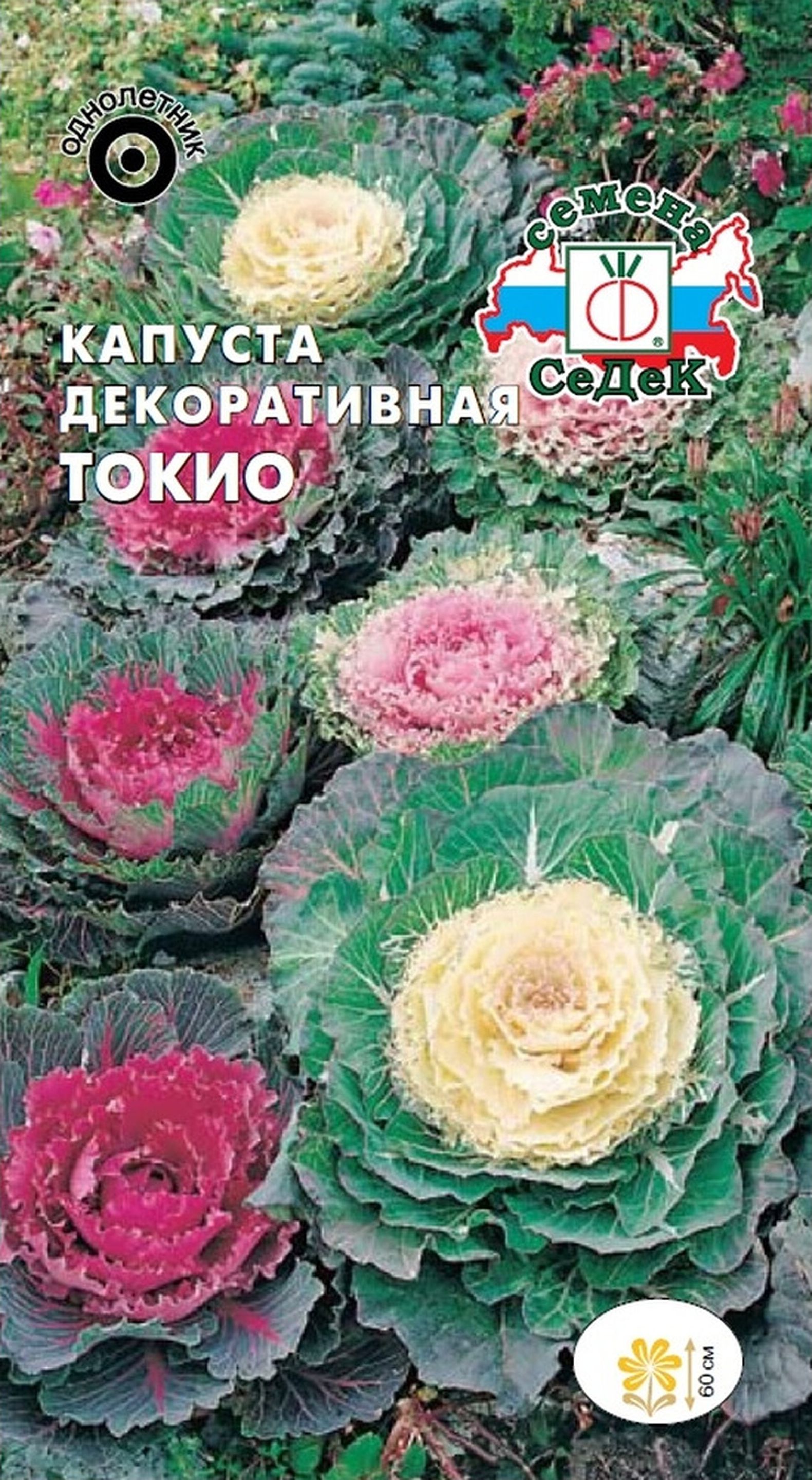 Изображение товара Семена Капусты декоративной СеДеК Токио 0,1 г