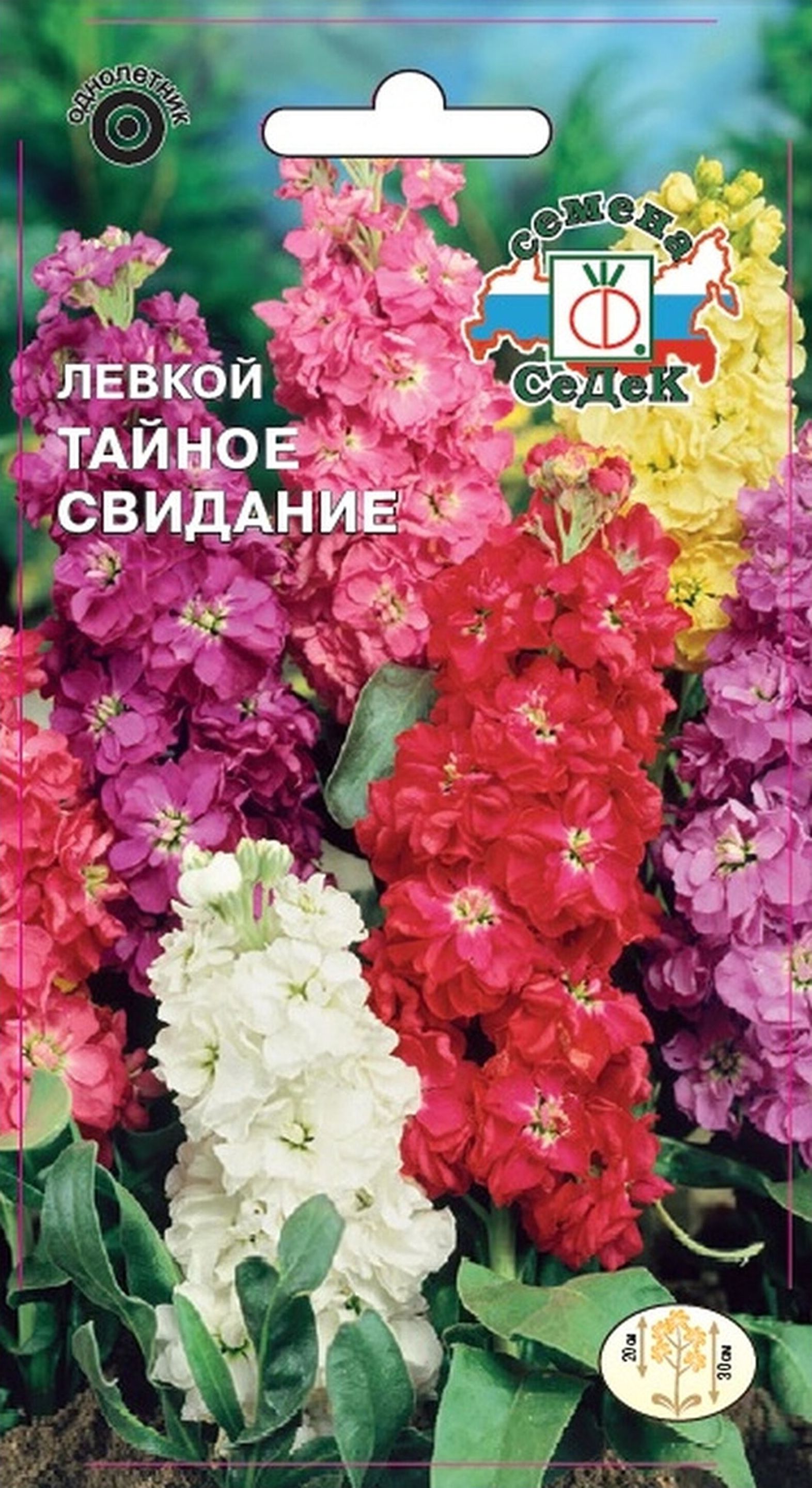 Изображение товара Семена Левкоя СеДеК Тайное свидание 0,1 г