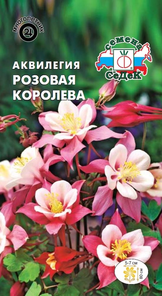 Изображение товара Семена Аквилегии СеДеК Розовая королева 1 г