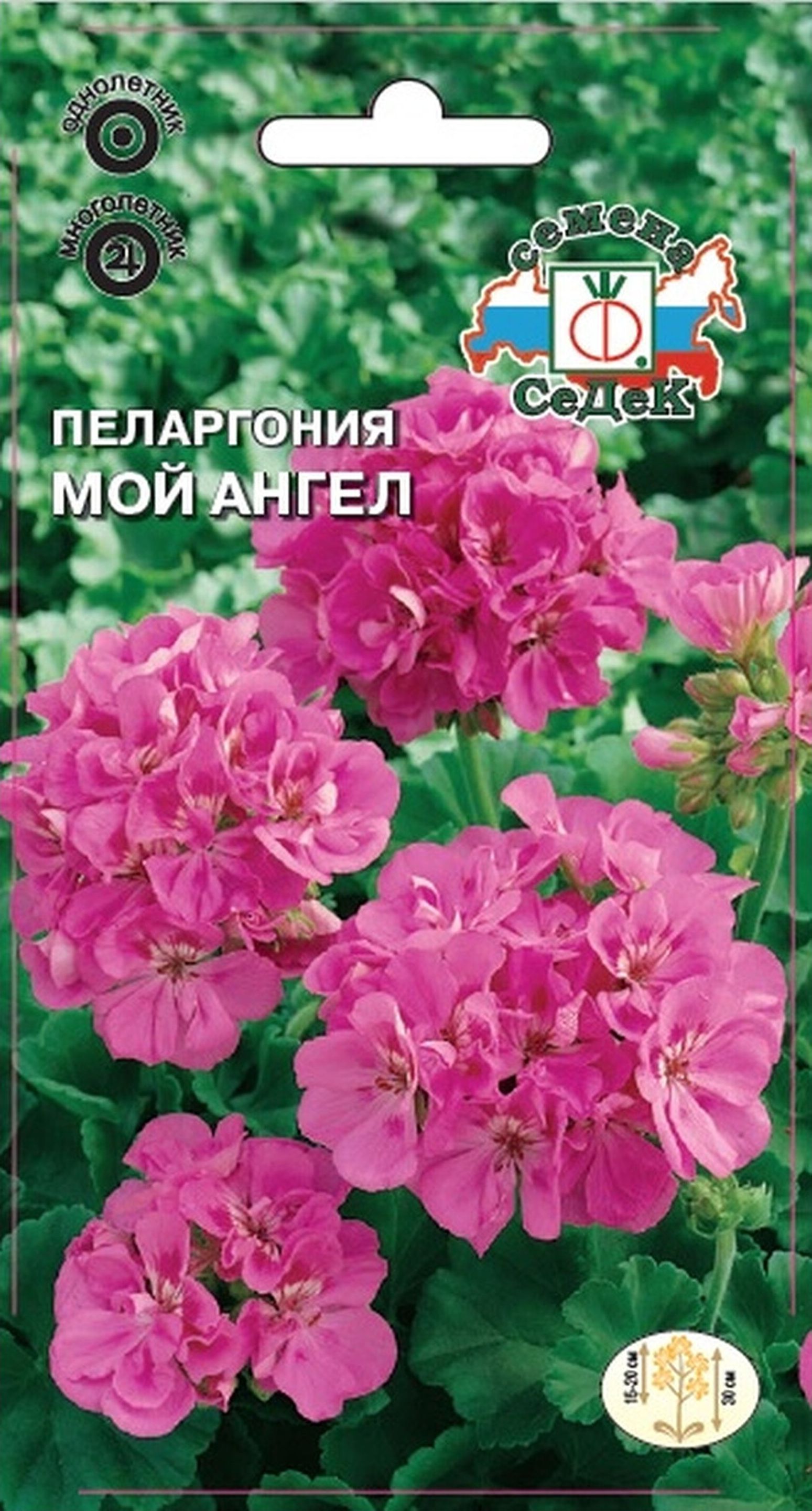 Изображение товара Семена Пеларгонии СеДеК Мой ангел 5 г