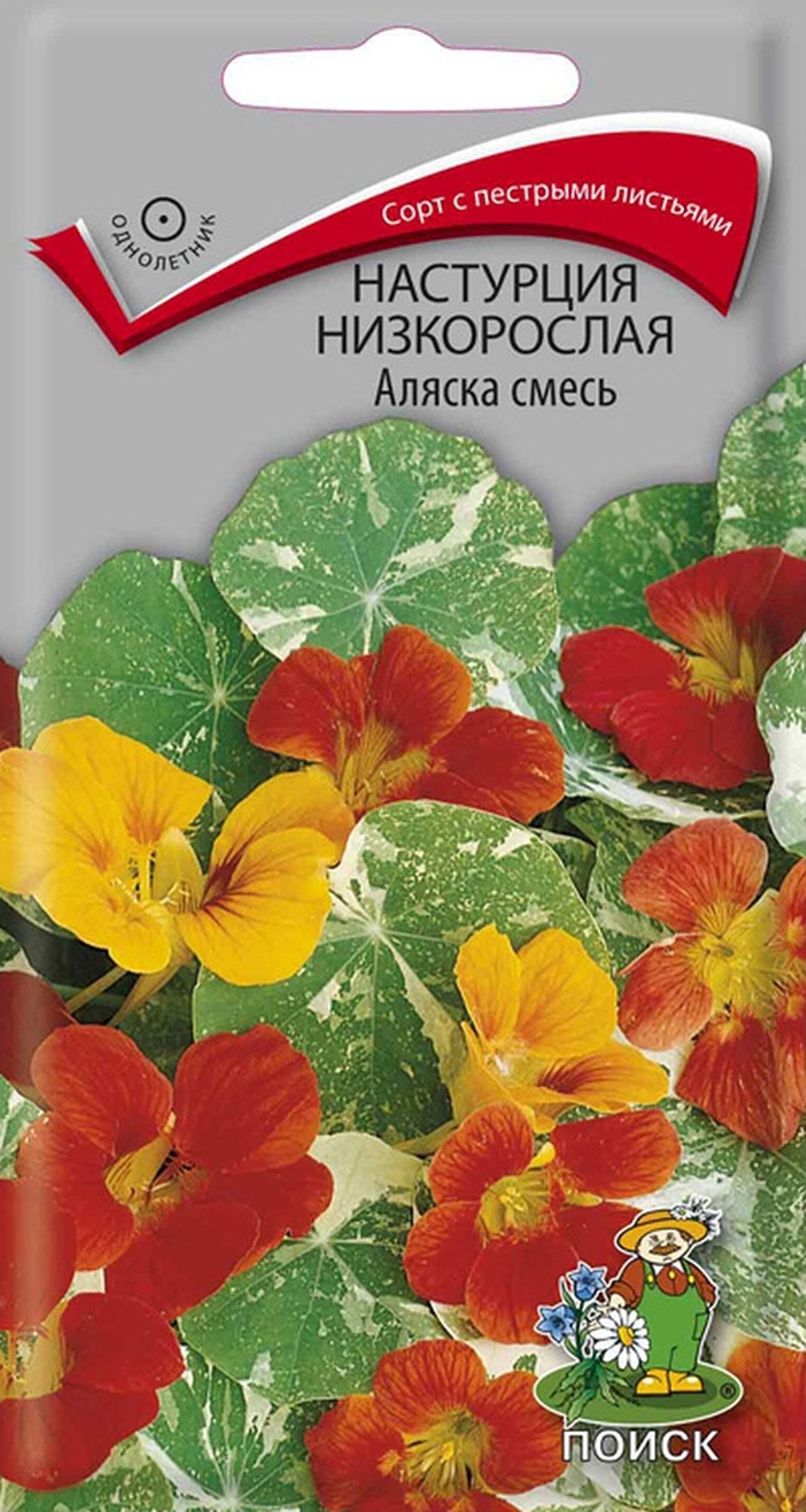 Изображение товара Семена Настурции ПОИСК Аляска в ассортименте 1 гр