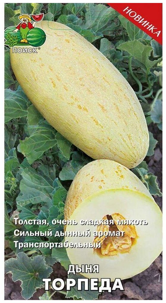Изображение товара Семена Дыни ПОИСК Торпеда 15 шт