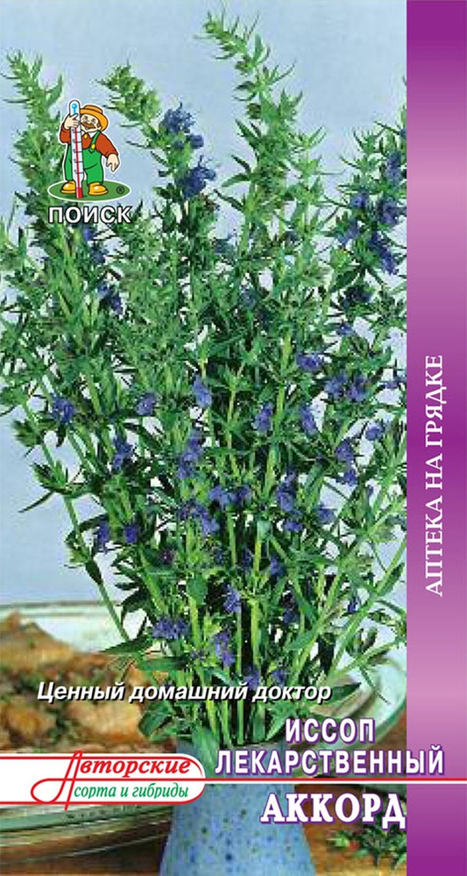 Изображение товара Семена Иссопа лекарственного ПОИСК Аккорд 0,5 г