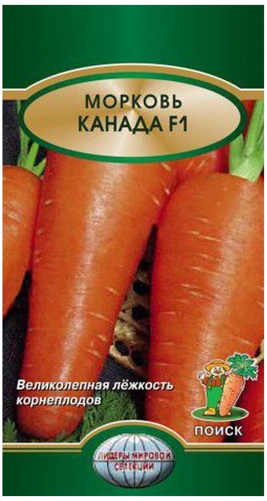 Изображение товара Семена Моркови ПОИСК Канада F1 0,1 г - Урожайный сорт