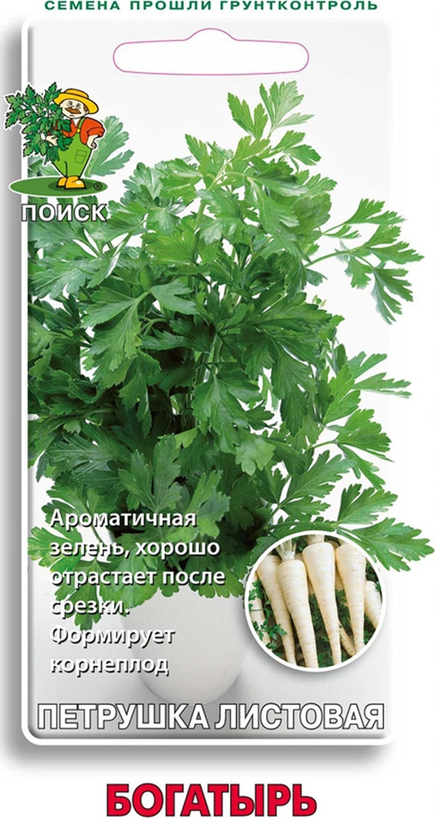 Изображение товара Семена Петрушки ПОИСК Богатырь 3 г