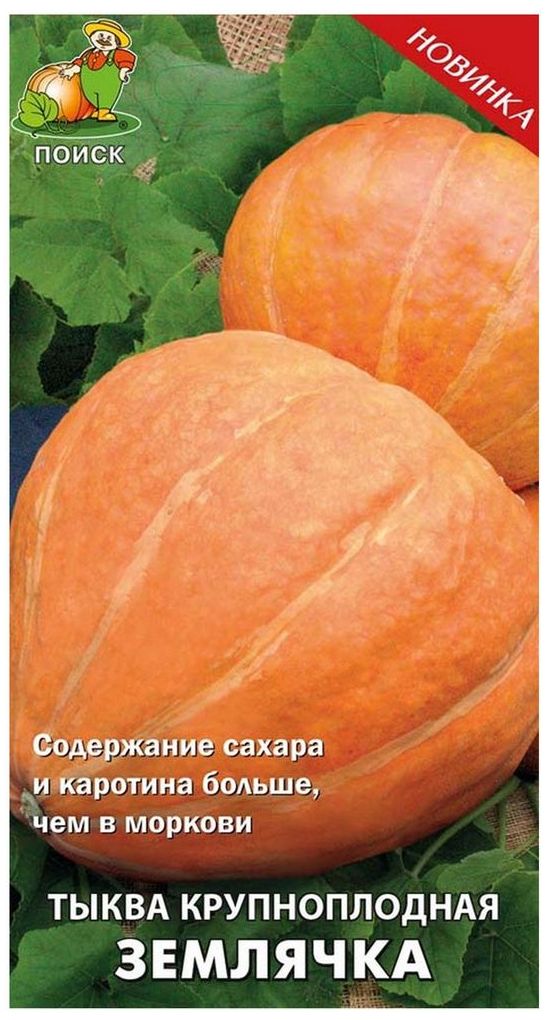 Изображение товара Семена Тыквы крупноплодной ПОИСК Землячка 10 шт