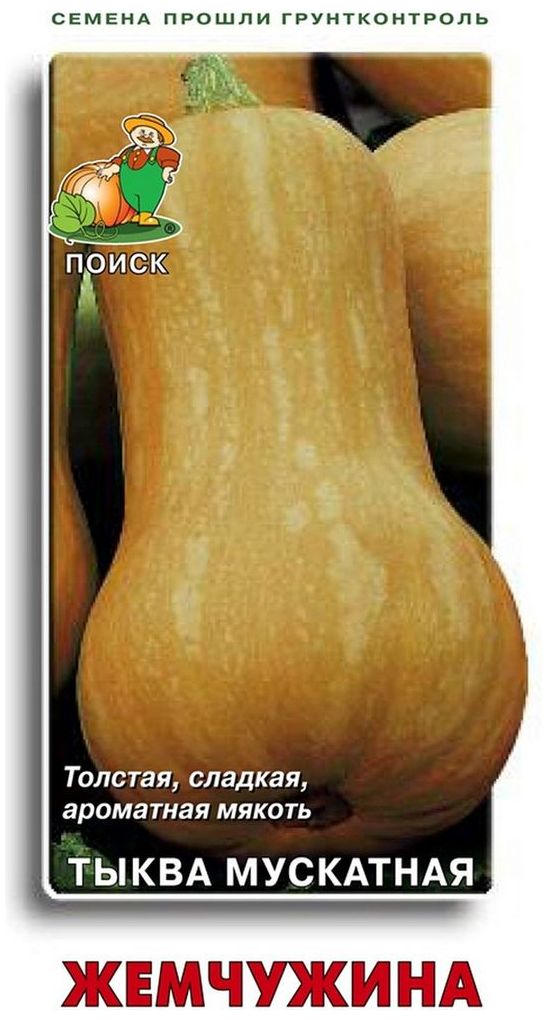 Изображение товара Семена Тыквы мускатной ПОИСК Жемчужина 10 шт
