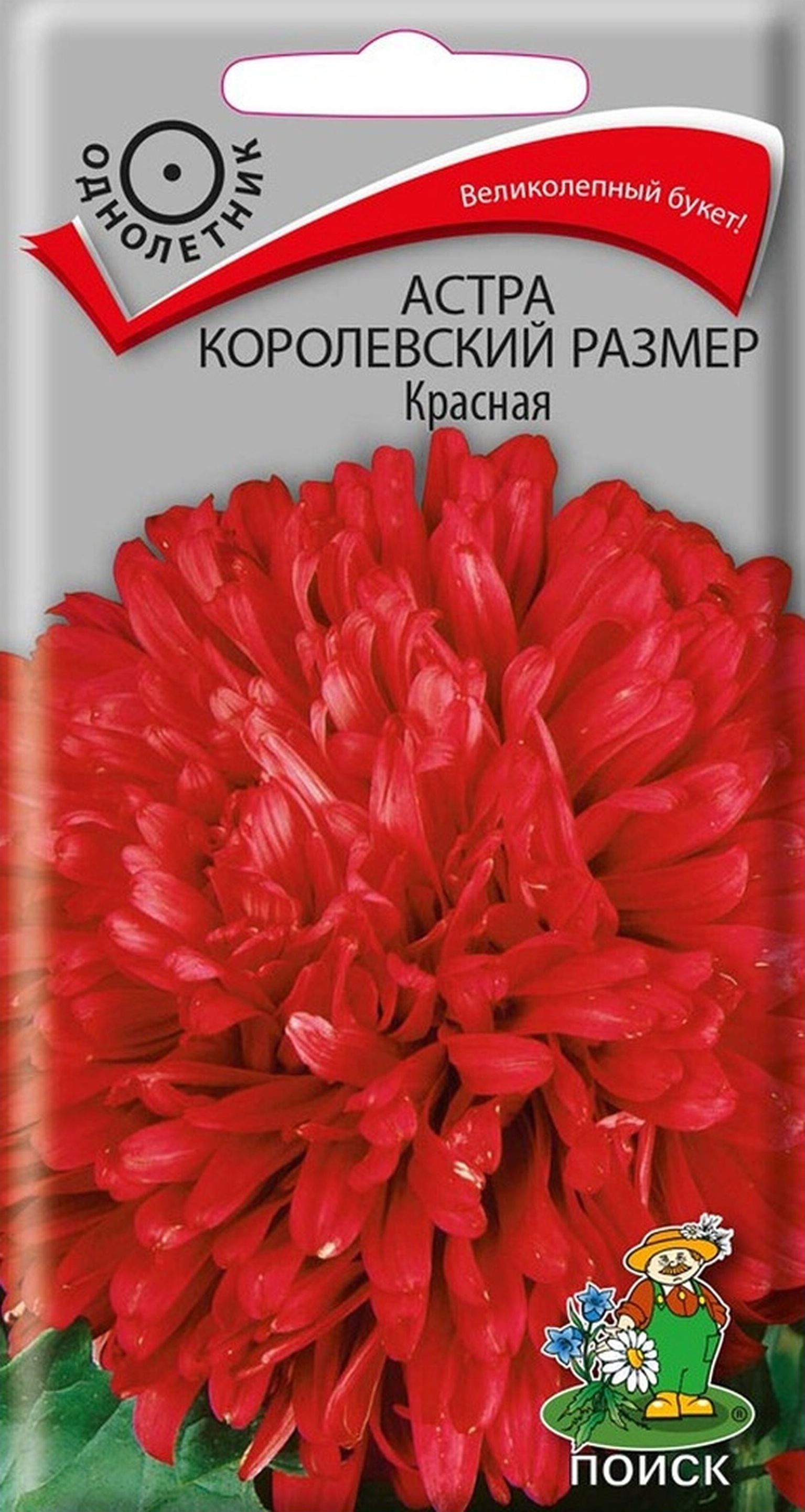 Изображение товара Семена Астры ПОИСК Королевский размер красная 1 г