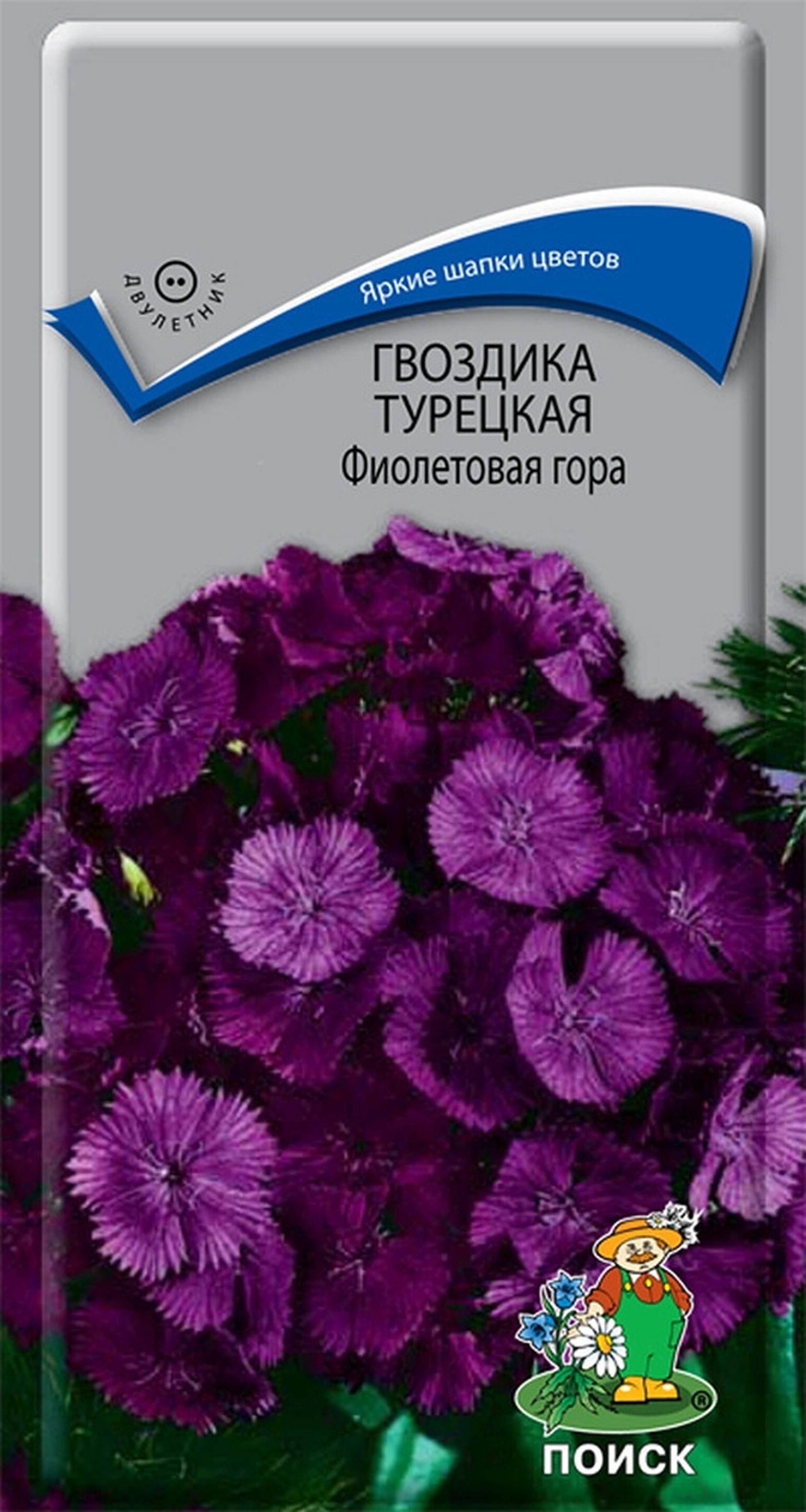Изображение товара Семена Гвоздики ПОИСК Фиолетовая гора 0,25 г