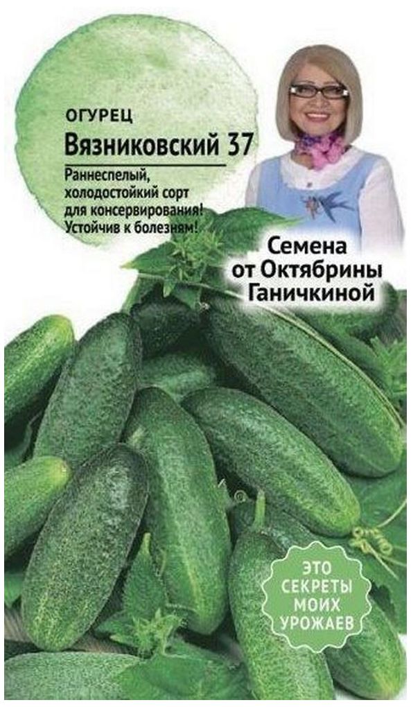 Изображение товара Семена Огурца Октябрина Ганичкина Вязниковский 37 5 г