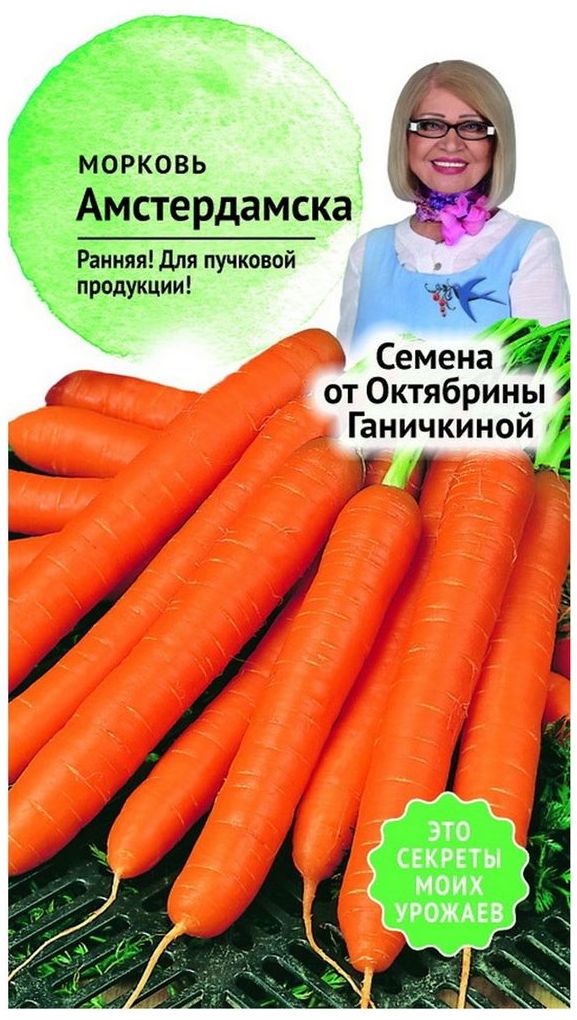 Изображение товара Семена Моркови Октябрина Ганичкина Амстердамская 0,2 г