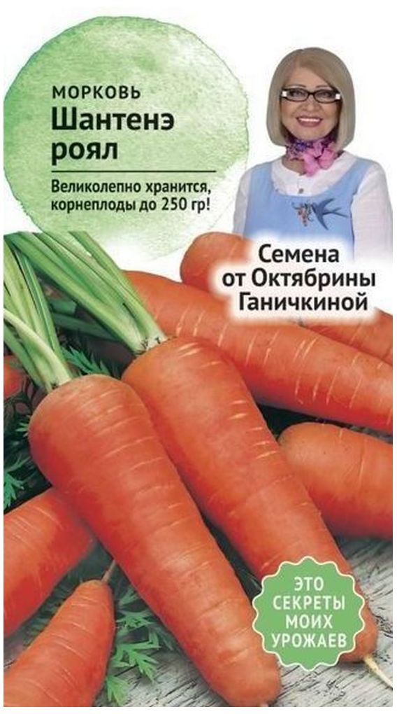Изображение товара Семена Моркови Октябрина Ганичкина Шантенэ Роял 2 г