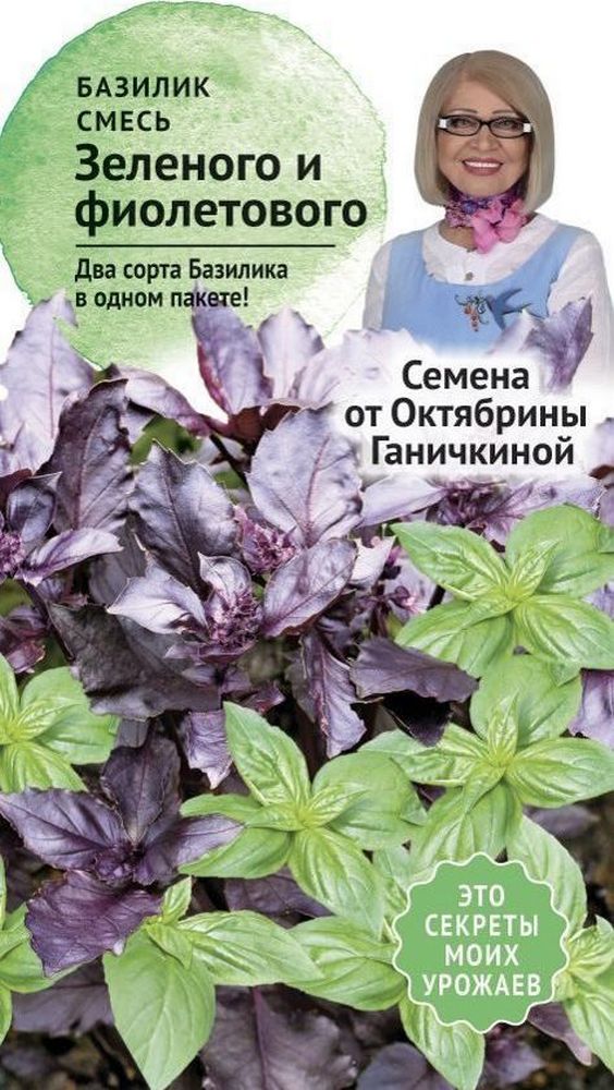 Изображение товара Семена Базилика Октябрина Ганичкина смесь зеленого и фиолетового 0,4 г