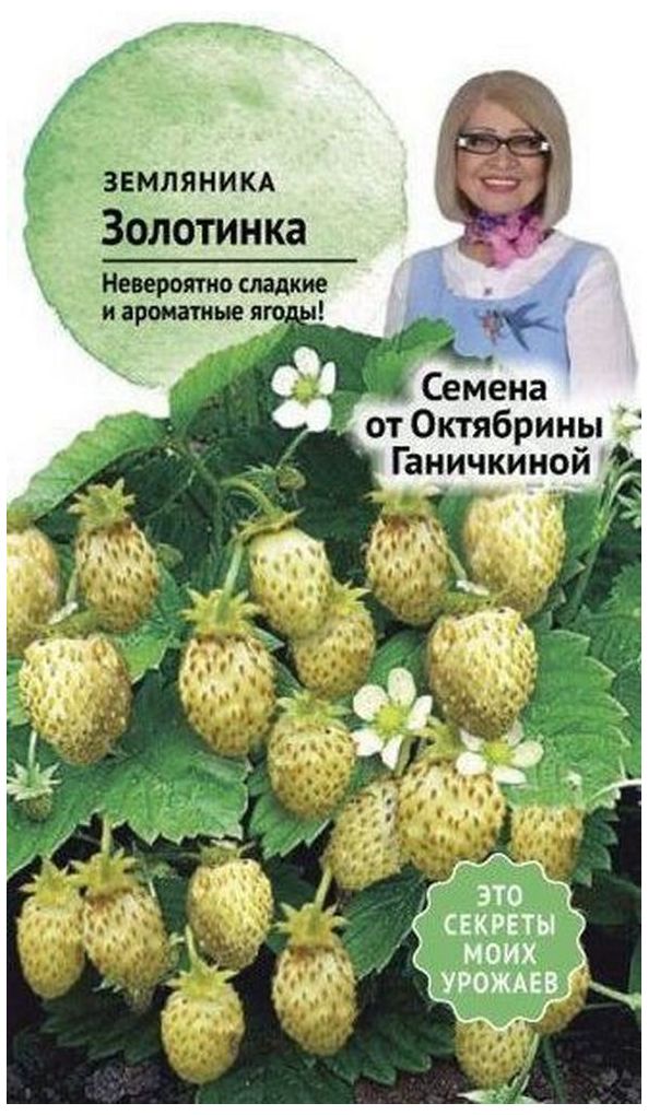 Изображение товара Семена Земляники Октябрина Ганичкина Золотинка 0,04 г